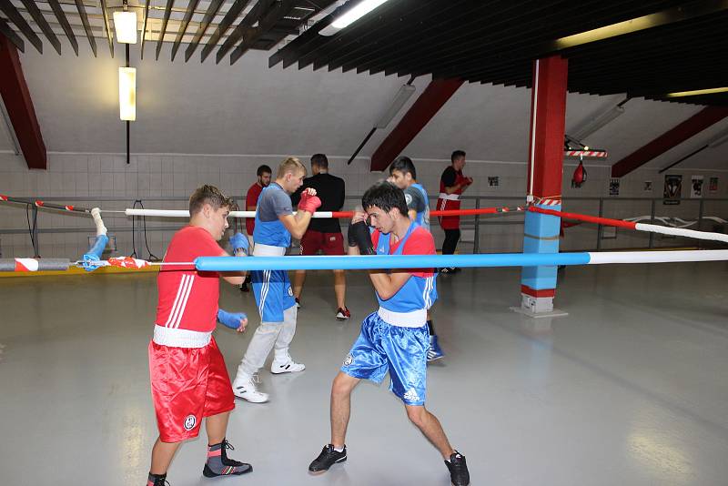 Trénink mladých havířovských boxerů.