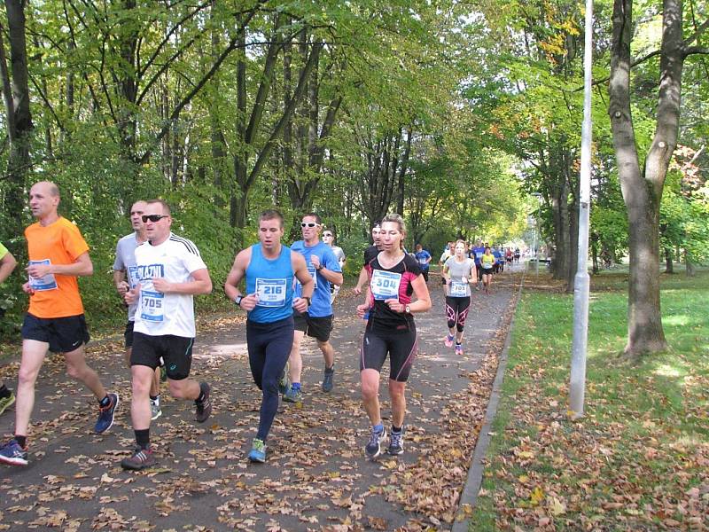 Havířovská desítka 2016 - běh na 10 kilometrů. 