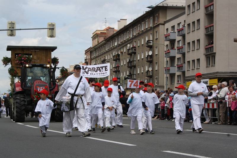 Havířov v květech. 