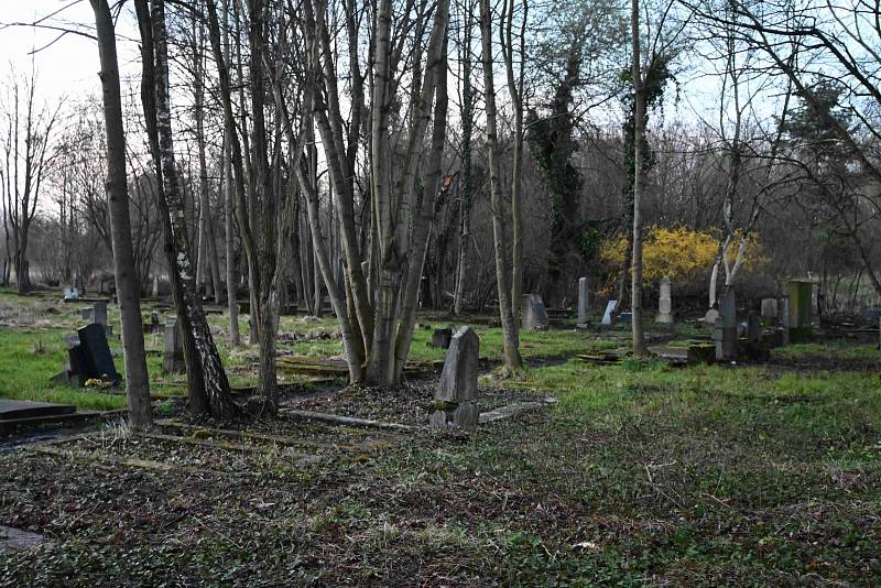 Fotoprocházka evangelickým hřbitovem v Karviné-Dolech.