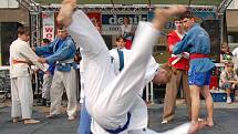Oddíl judo předvedl divákům ukázku bojového umění. Nutno podotknout, že diváci mohli vidět opravdu pestrou přehlídku pádů.