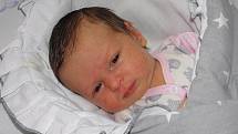 Aurélie Pinterová se narodila 9. listopadu paní Gabriele Pinterové z Orlové. Když přišla holčička na svět, vážila 3000 g a měřila 49 cm.