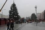 Stavění vánočního stromu na náměstí Republiky v centru Havířova.