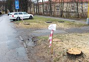 Kácení stromů vyvolává debaty obyvatel města na sociálních sítích. Na snímku stromy pokácené ve Stavbařské ulici, kde má vyrůst nové parkoviště.