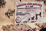 Mládežníci na karvinském Dragon Cupu bojovali o medaile.