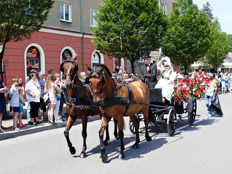 Havířov v květech.