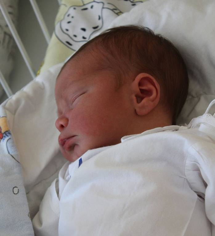 Radomír Adamík se narodil 5. července mamince Heleně Adamíkové. Má čtyři sourozence – Františka, Emilku, Janičku a Jozífka. Po porodu měřil 50 cm a vážil 3,48 kg.