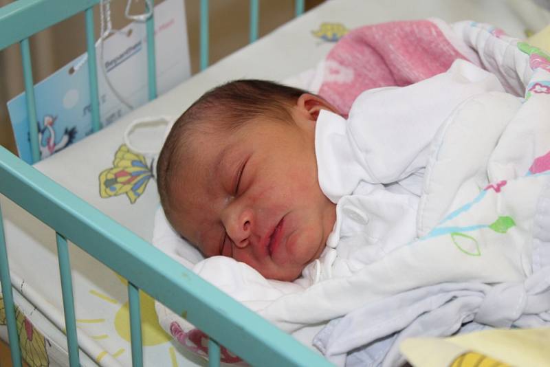 Mamince Silvii Šandorové z Karviné se 8. března narodila dcera Alenka. Porodní váha holčičky byla 2930 g a míra 46 cm.