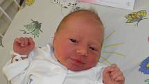 Elenka Heindrichová se narodila 20. října mamince Renátě Pfefferové z Karviné. Po narození dítě vážilo 3120 g a měřilo 47 cm.