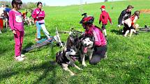 V Doubravě se o víkendu konal závor běžců a jezdců tažených psy.
