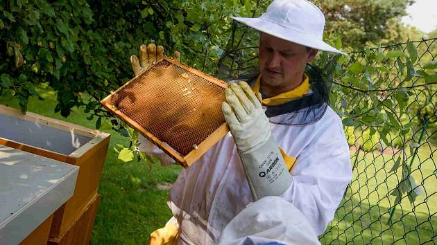 Celý postup stáčení medu zachytil svým objektivem Jiří Hanzel.