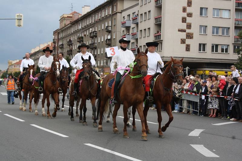 Havířov v květech. 