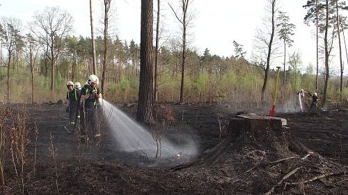 Požár, který vypukl v pátek odpoledne v Pežgovském lese, mezi Havířovem a Petřvaldem, se hasičům podařilo kolem sedmnácté hodiny dostat pod kontrolu.