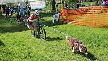 V Doubravě se o víkendu konal závor běžců a jezdců tažených psy.