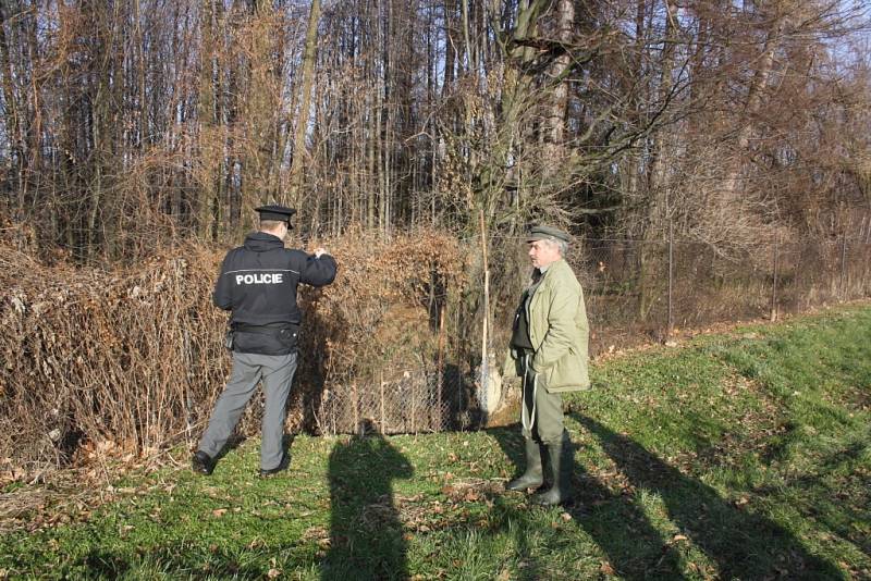 Zdivočelí psi zaútočili na srnčí zvěř v ovocnářských sadech. 