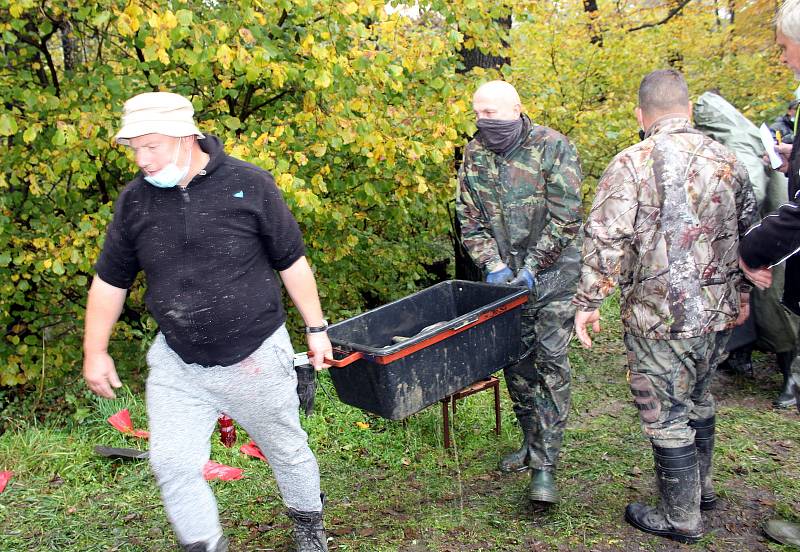 Rybáři z Orlové, výlov rybníka Velký Holotovec, 31. října 2020.