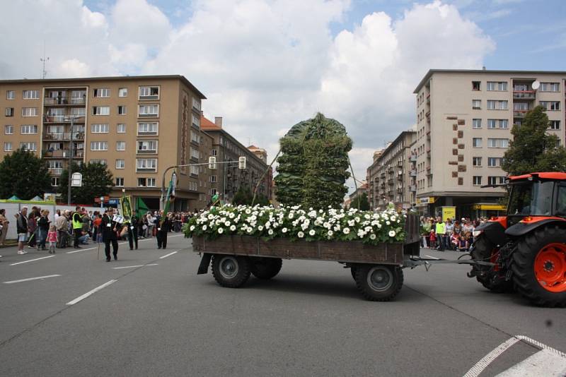 Květinové korzo slavnosti Havířov v květech 2015. 