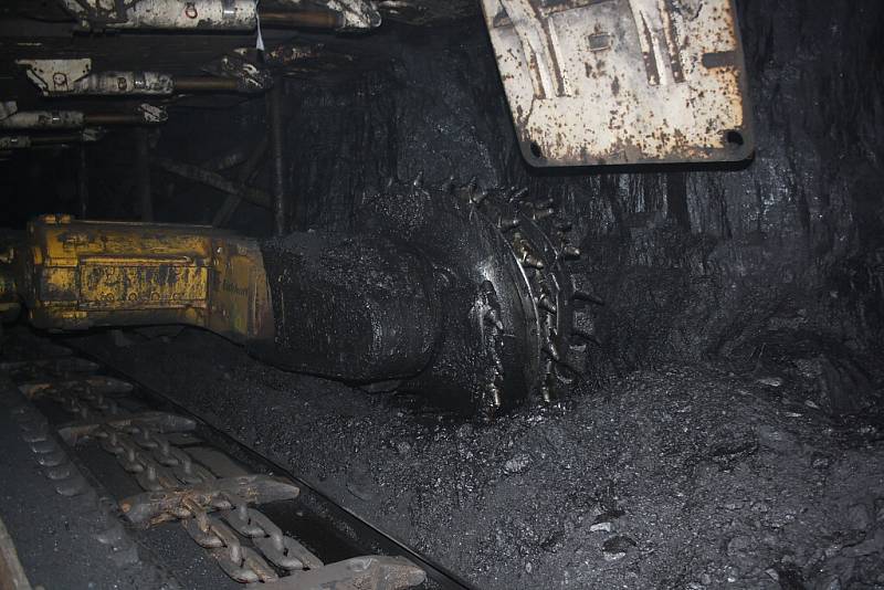 Důlní kombajn odebírá uhlí podle mocnosti uhelné žíly. Výška může být i několik metrů. 