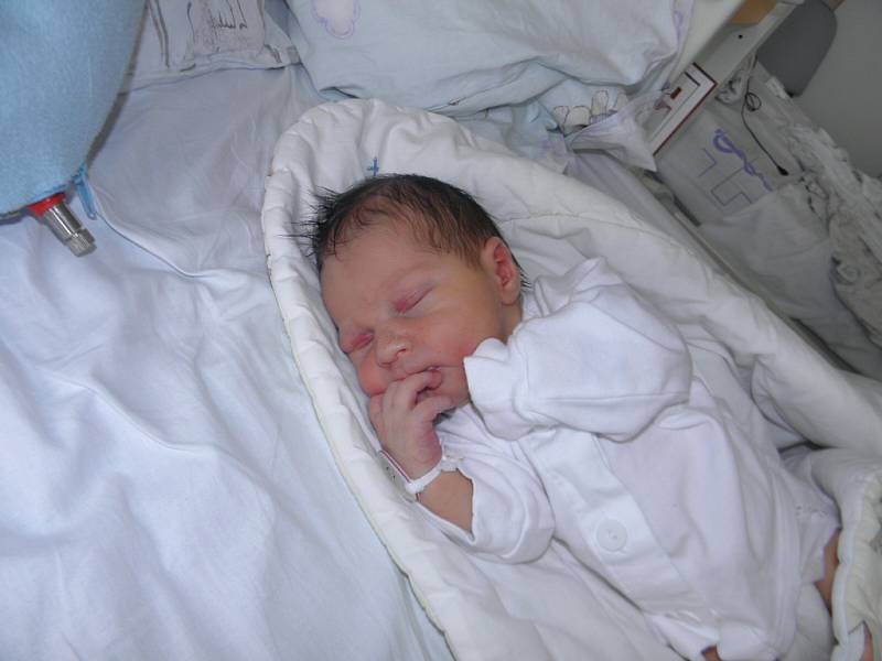 Kubíček Caletka se narodil 16.července mamince Tereze Bijokové z Orlové. Po porodu dítě vážilo 3310 g a měřilo 47 cm.