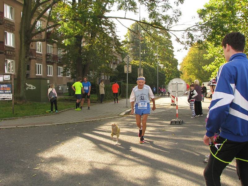 Havířovská desítka 2016 - běh na 10 kilometrů. 