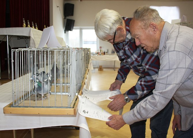 Výstava v Horní Suché byla i příjemným společenským setkáním holubářů, jejich přátel i dalších fanoušků tohoto zajímavého koníčku.