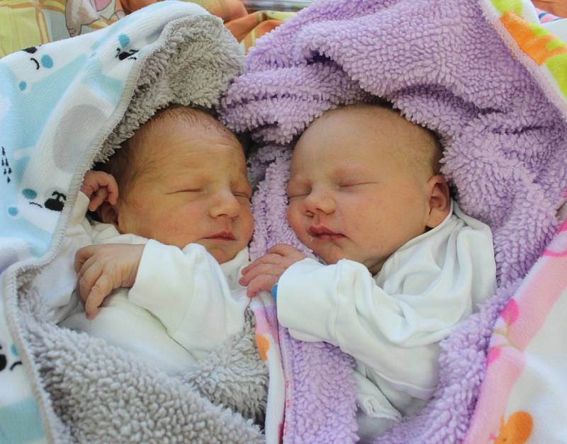 Dvojčátka Patrik (vlevo) a Pavla Veselí z Horní Suché se narodili 12. února v Havířově. Patrik měřil 48 cm a vážil 2320 g, Pavlínka 45 cm a 2310 g. Maminka Agnieszka Veselá.