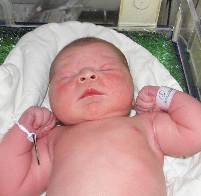 Jasmínka Aertsová se narodila 2. října paní Veronice Böhmové z Orlové. Po porodu dítě vážilo 3700 g a měřilo 51 cm.
