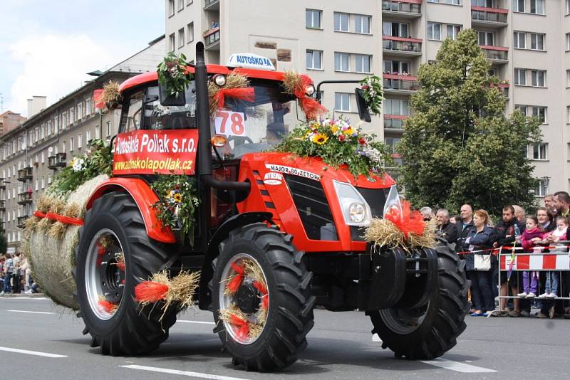 Havířov v květech. 