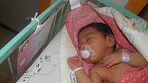 Laurinka se narodila 27.července paní Kristýně Meinzlové z Karviné. Po porodu miminko vážilo 2900 g a měřilo 49 cm.