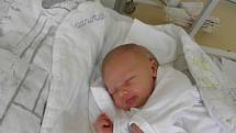 Bára se narodila 6. dubna mamince Ivaně Navrátilové z Dětmarovic. Po narození holčička vážila 3280 g a měřila 51 cm.