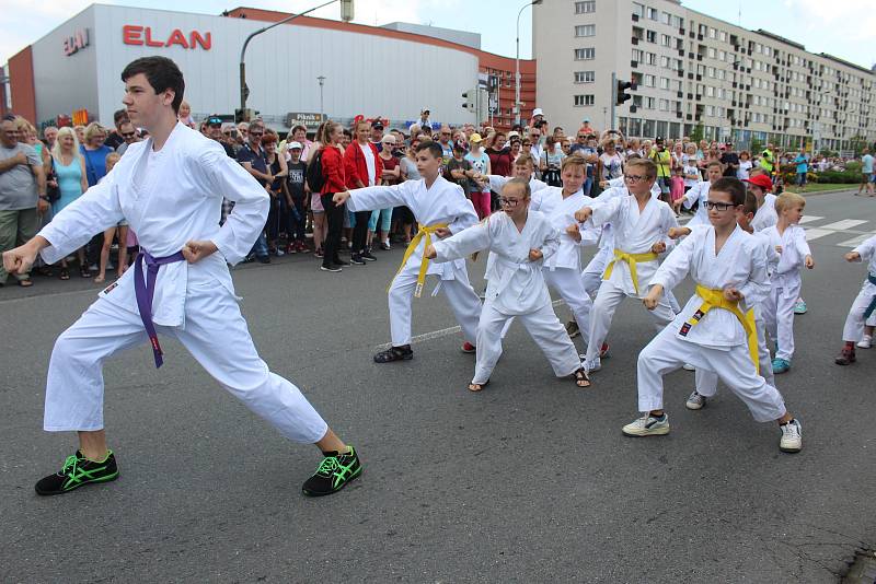 Havířov v květech 2018.