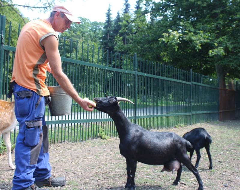 Karvinský zoo koutek v parku Boženy Němcové je nyní plný mláďat, na některá si ale návštěvníci musí počkat, protože je jim zatím lépe ve vnitřních ubikacích.