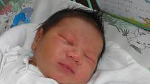 Filípek se narodil 10. listopadu paní Margitě Pechové z Karviné. Po narození miminko vážilo 3650 g a měřilo 50 cm.
