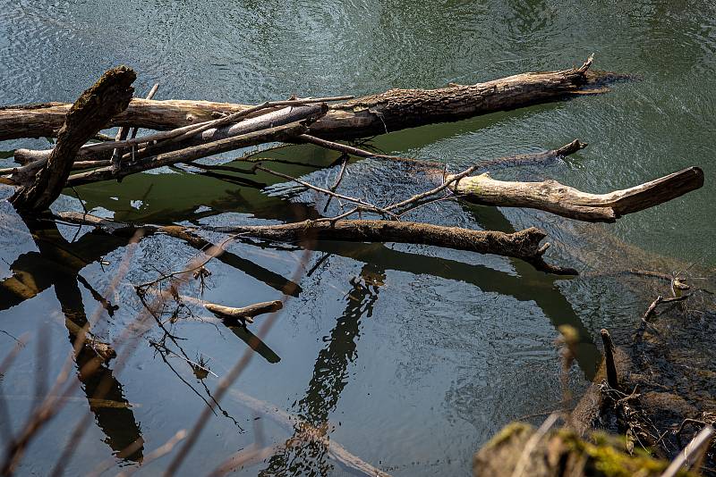 Meandry Lučiny v Havířově.