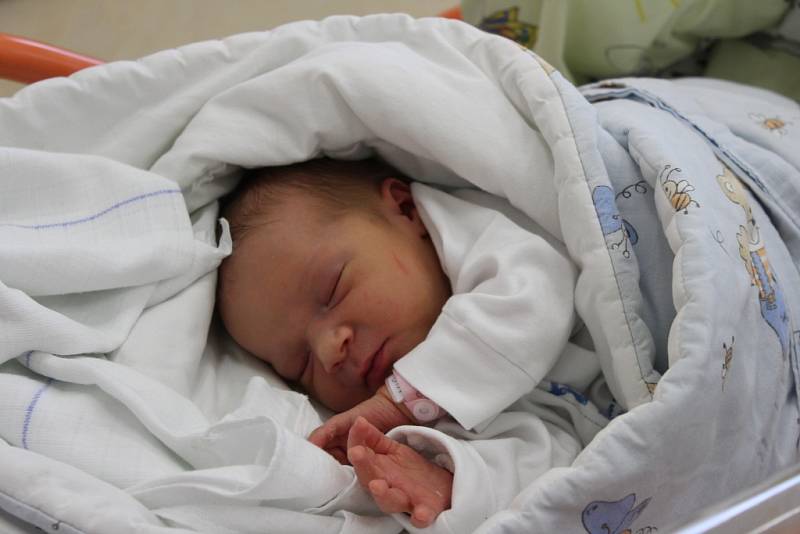 Mia Malová se narodila 8. března mamince Kateřině Staroščákové z Českého Těšína. Porodní váha miminka byla 3100 g a míra 42 cm.