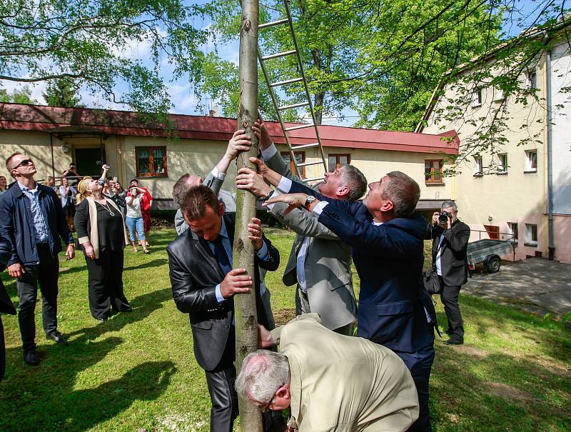 Vládní návštěva v Moravskoslezském kraji, 25. dubna 2018, Domov Březiny v Petřvaldu. Premiér Andrej Babiš s hejtmanem Ivo Vondrákem pomohli také se stavěním májky.