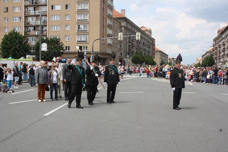 Květinové korzo slavnosti Havířov v květech 2015. 