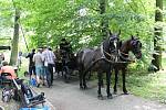 Filmaři natáčejí v těchto dnech na Zámku Fryštát česko-slovenskou pohádku Když draka bolí hlava. Hraje v ní několik známých herců a hvězd českého showbyznysu