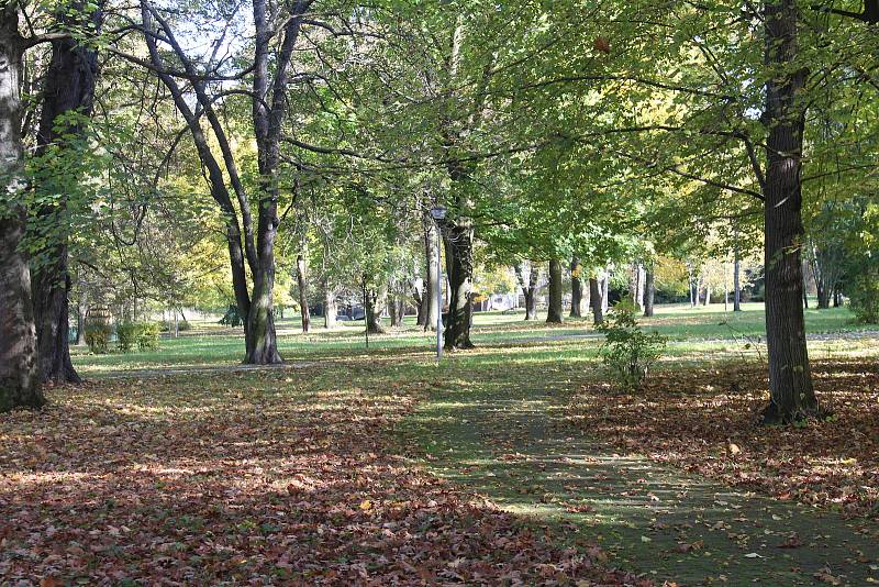 Karviná-Darkov. Lázeňský park.