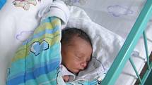 První miminko se narodilo 28.července paní Aleně Žigové z Karviné. Porodní váha malého Juliuse byla 2360 g a míra 46 cm.