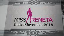 V kině Centrum v Havířově bylo slavnostně představeno téma letošního 26. ročníku mezinárodní soutěže středoškolaček Miss Reneta ČeskoSlovensko 2018.