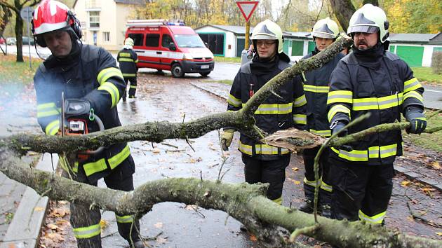 Vyvrácený strom v ulici U Stromovky rozřezali dobrovolní hasiči.