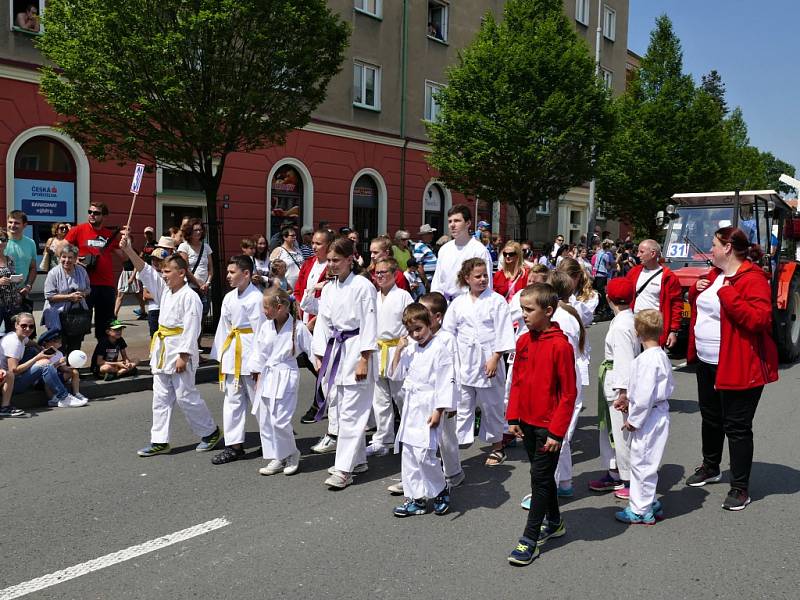 Havířov v květech.