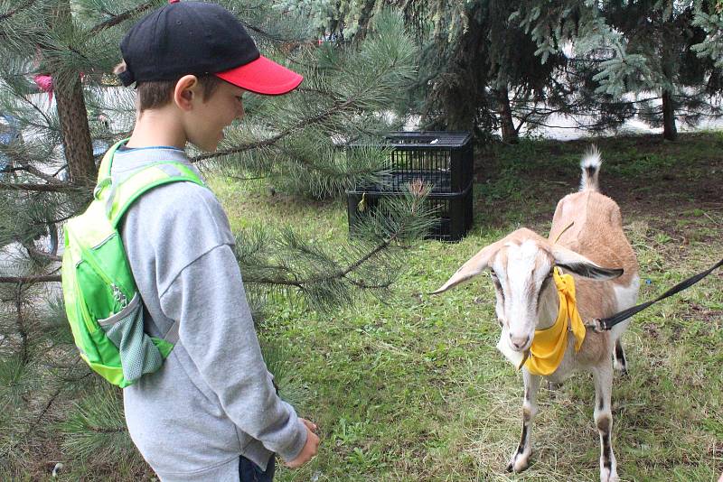 Albrechtova střední škola v českém Těšíně pořádala už 16. ročník biojarmarku.