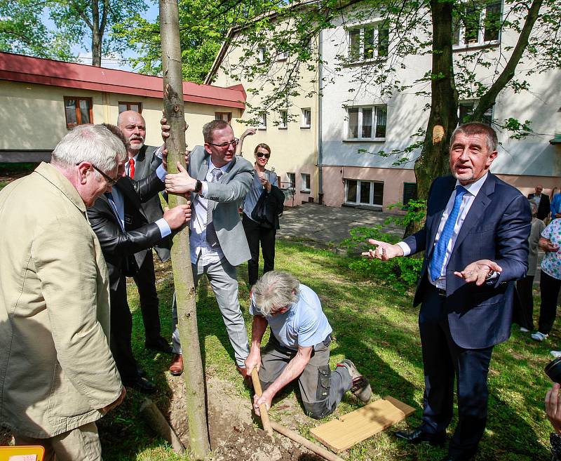 Vládní návštěva v Moravskoslezském kraji, 25. dubna 2018, Domov Březiny v Petřvaldu. Premiér Andrej Babiš s hejtmanem Ivo Vondrákem pomohli také se stavěním májky.