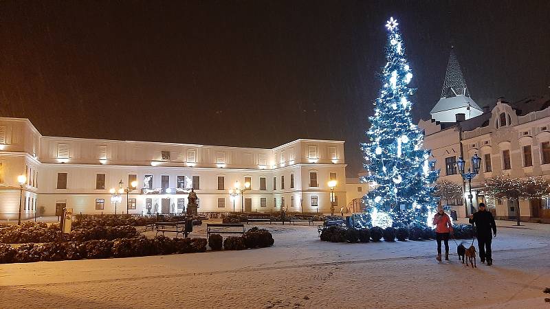 Vánoční strom na Masarykově náměstí v Karviné - reprezentativní vzrostlý smrk výšky cca 18 m byl dovezen ze Sviadnova. Zkrácen na výšku cca 15 metrů.