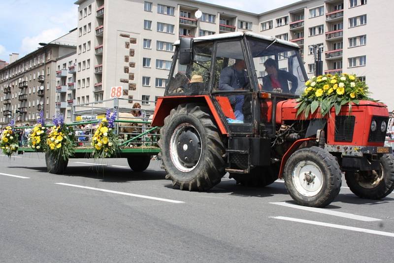 Havířov v květech. 