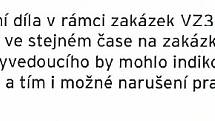 Výňatek z forenzního auditu MRA Havířov. 