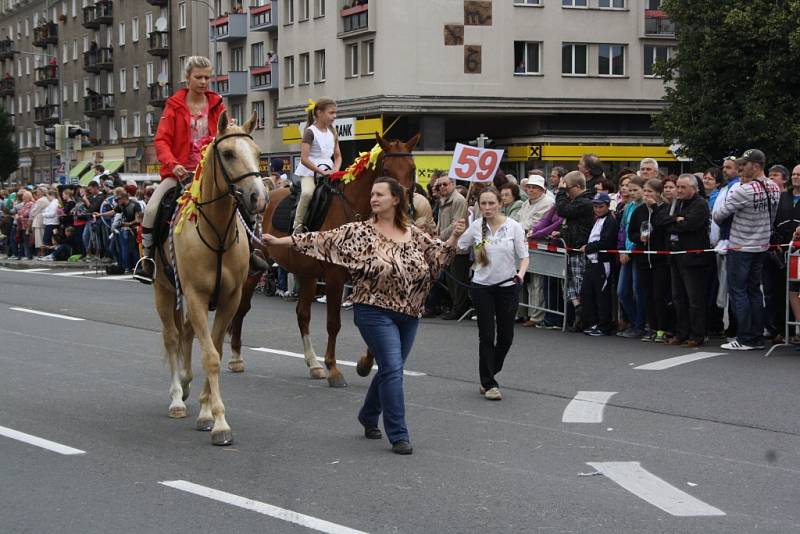 Havířov v květech. 