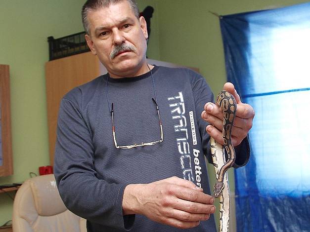 Najde se majitel zatoulaného hada?